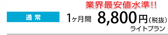 通常：1ヶ月間 8,800円（税抜） ライトプラン